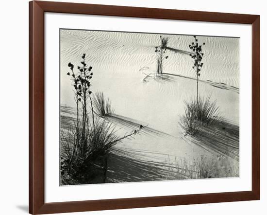 Yucca, White Sands, 1946-Brett Weston-Framed Photographic Print