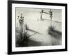 Yucca, White Sands, 1946-Brett Weston-Framed Photographic Print