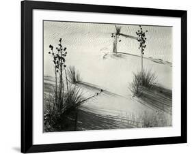 Yucca, White Sands, 1946-Brett Weston-Framed Photographic Print