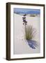 Yucca, White Sands National Monument, New Mexico-George Oze-Framed Photographic Print