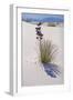 Yucca, White Sands National Monument, New Mexico-George Oze-Framed Photographic Print