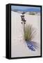 Yucca, White Sands National Monument, New Mexico-George Oze-Framed Stretched Canvas