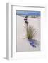 Yucca, White Sands National Monument, New Mexico-George Oze-Framed Photographic Print