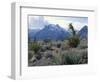 Yuccas Below Snow Covered Cliffs & Clearing Winter Storm, Red Rock Canyon, Nevada, USA-Scott T. Smith-Framed Photographic Print