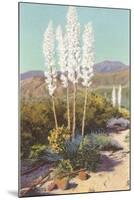 Yuccas in Bloom-null-Mounted Art Print