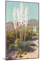 Yuccas in Bloom-null-Mounted Art Print