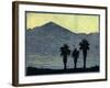 Yuccas In Silhouette-Frank Redlinger-Framed Art Print