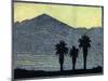 Yuccas In Silhouette-Frank Redlinger-Mounted Art Print