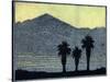 Yuccas In Silhouette-Frank Redlinger-Stretched Canvas