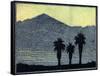 Yuccas In Silhouette-Frank Redlinger-Framed Stretched Canvas