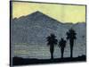 Yuccas In Silhouette-Frank Redlinger-Stretched Canvas