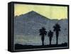 Yuccas In Silhouette-Frank Redlinger-Framed Stretched Canvas