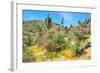 Yuccas-Anton Foltin-Framed Photographic Print