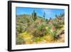 Yuccas-Anton Foltin-Framed Photographic Print