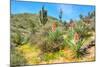 Yuccas-Anton Foltin-Mounted Photographic Print