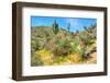 Yuccas-Anton Foltin-Framed Photographic Print