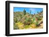 Yuccas-Anton Foltin-Framed Photographic Print