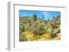 Yuccas-Anton Foltin-Framed Photographic Print