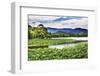 Yue Feng Pagoda Pink Lotus Pads Garden Reflection Summer Palace, Beijing, China-William Perry-Framed Photographic Print