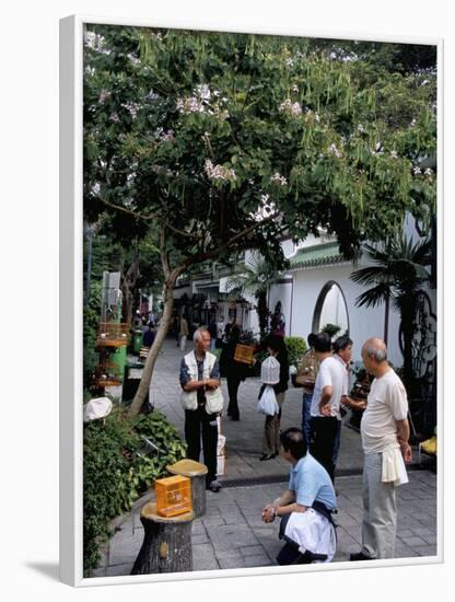 Yuen Po Street Bird Garden, Mong Kok, Kowloon, Hong Kong, China-Amanda Hall-Framed Photographic Print