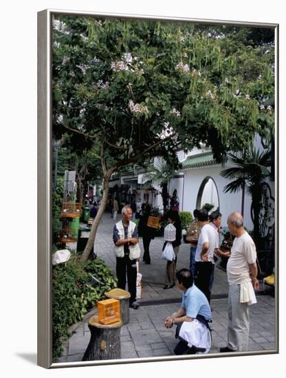 Yuen Po Street Bird Garden, Mong Kok, Kowloon, Hong Kong, China-Amanda Hall-Framed Photographic Print
