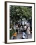 Yuen Po Street Bird Garden, Mong Kok, Kowloon, Hong Kong, China-Amanda Hall-Framed Photographic Print