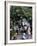 Yuen Po Street Bird Garden, Mong Kok, Kowloon, Hong Kong, China-Amanda Hall-Framed Photographic Print