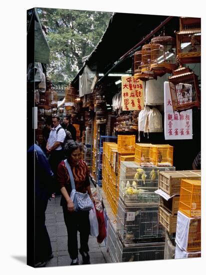 Yuen Po Street Bird Garden, Mong Kok, Kowloon, Hong Kong, China-Amanda Hall-Stretched Canvas