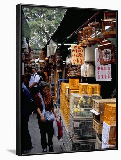 Yuen Po Street Bird Garden, Mong Kok, Kowloon, Hong Kong, China-Amanda Hall-Framed Photographic Print