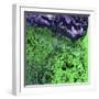 Yukon Delta, Alaska-Science Source-Framed Photographic Print