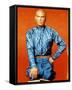 Yul Brynner-null-Framed Stretched Canvas