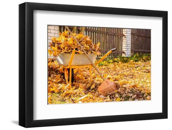 Premium Photographic Print, , large