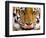 Yum-Art Wolfe-Framed Photographic Print