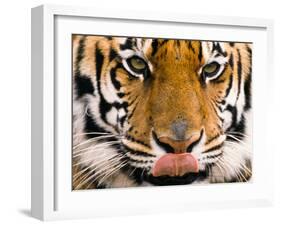 Yum-Art Wolfe-Framed Photographic Print