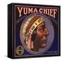 Yuma Chief Brand - Redlands, California - Citrus Crate Label-Lantern Press-Framed Stretched Canvas