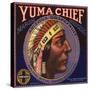 Yuma Chief Brand - Redlands, California - Citrus Crate Label-Lantern Press-Stretched Canvas