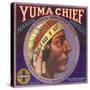 Yuma Chief Orange Label - Redlands, CA-Lantern Press-Stretched Canvas