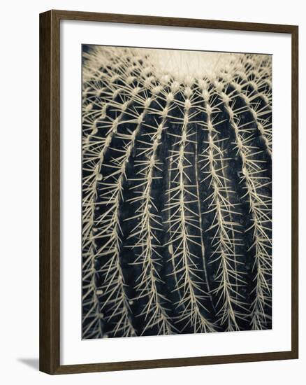 Yuma-Ella Lancaster-Framed Giclee Print