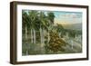 Yumuri Valley, Matanzas, Cuba-null-Framed Art Print