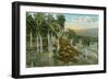 Yumuri Valley, Matanzas, Cuba-null-Framed Art Print