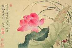 Lotus Flower, by Yun Shou-P'Ing (1633-90), from an 'Album of Flowers', (W/C on Silk Backed Paper)-Yun Shouping-Stretched Canvas