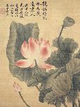 Lotus Flower, by Yun Shou-P'Ing (1633-90), from an 'Album of Flowers', (W/C on Silk Backed Paper)-Yun Shouping-Framed Stretched Canvas