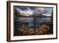 Brown Frame