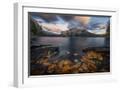 White Frame