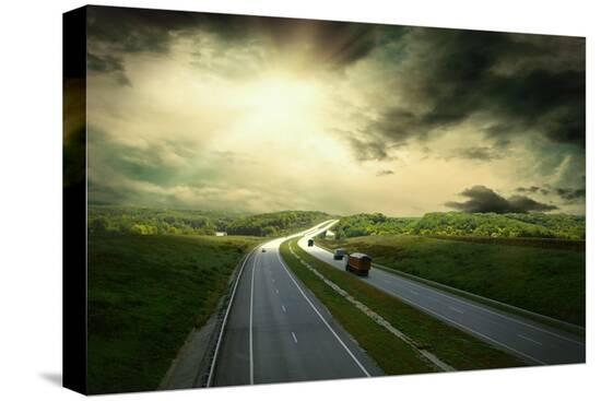 Stretched Canvas Print, , large
