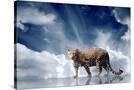 Stretched Canvas