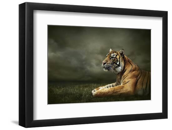 Premium Photographic Print, , large