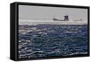 Framed Canvas