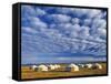 Yurts, Mongolia-Peter Adams-Framed Stretched Canvas