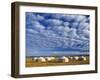 Yurts, Mongolia-Peter Adams-Framed Photographic Print